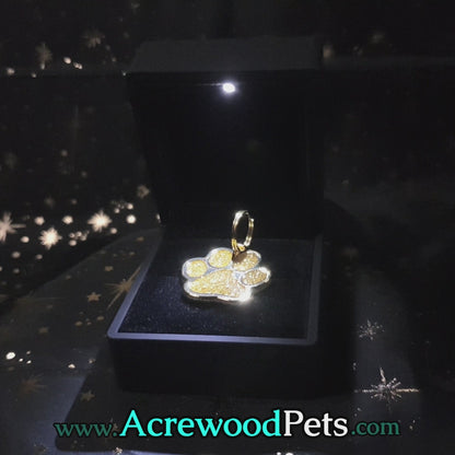 Engraved Metal Paw Tag - Multiple Colours